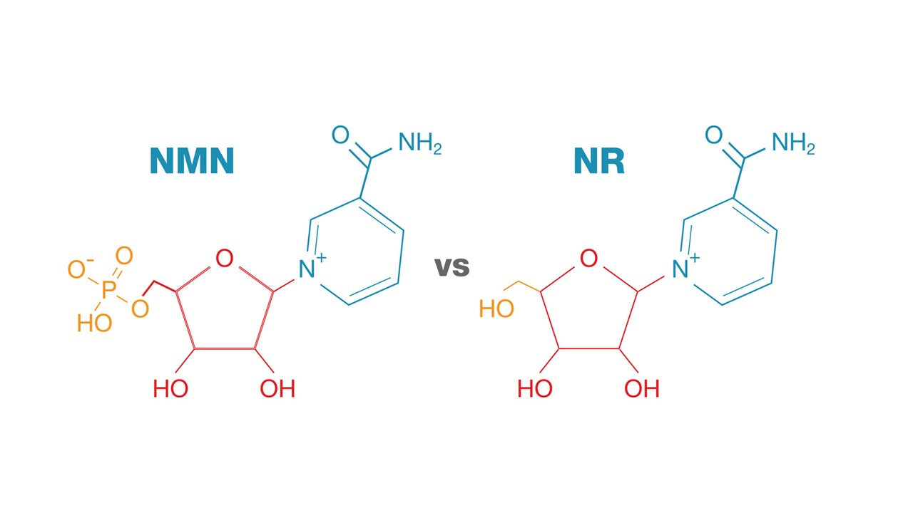 NMN vs. NR: Unraveling the Anti-Aging Potential and Structural Distinctions