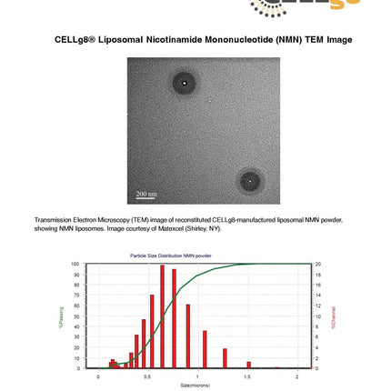 NAD⁺ Complete – NAD⁺, NMN, & NR (Liposomal) 90 Ct.